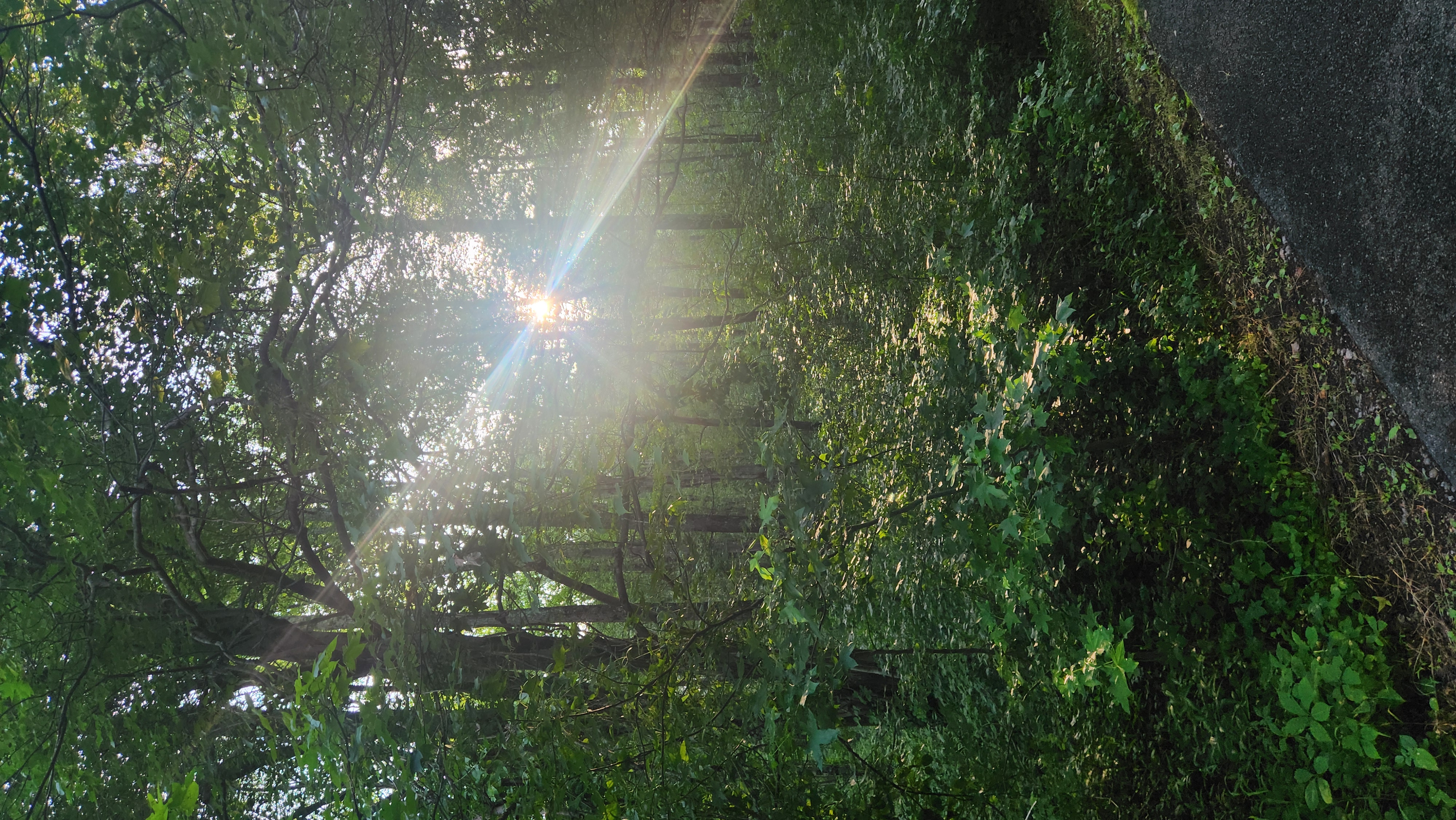 20250710_185952.jpg