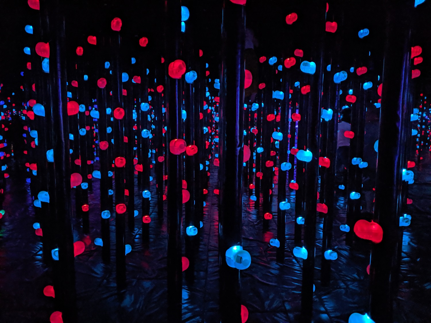 Teamlab Borderless Exhibit at the Mori Building in Tokyo, Japan