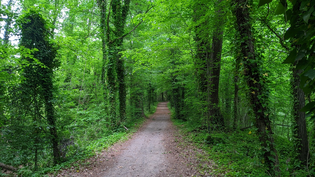 Roanoke Canal Museum and Trail