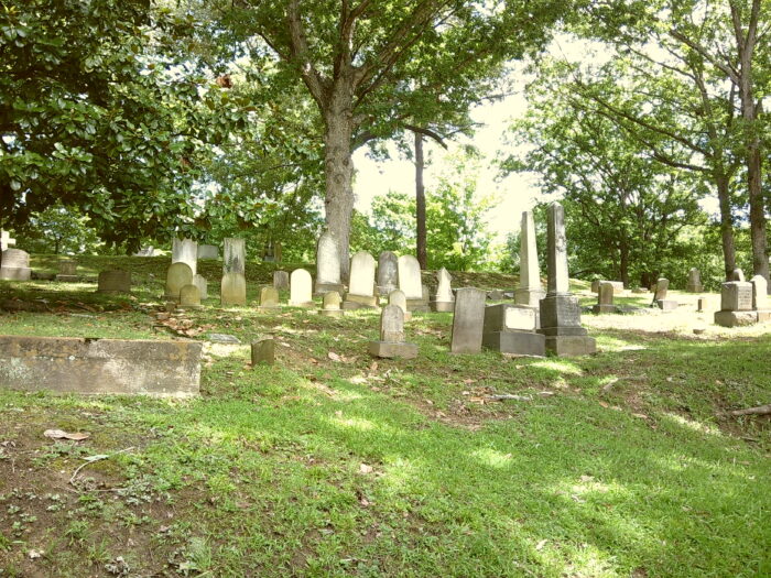 A cluster of graves on a green grassy hill under the shade of a large tree