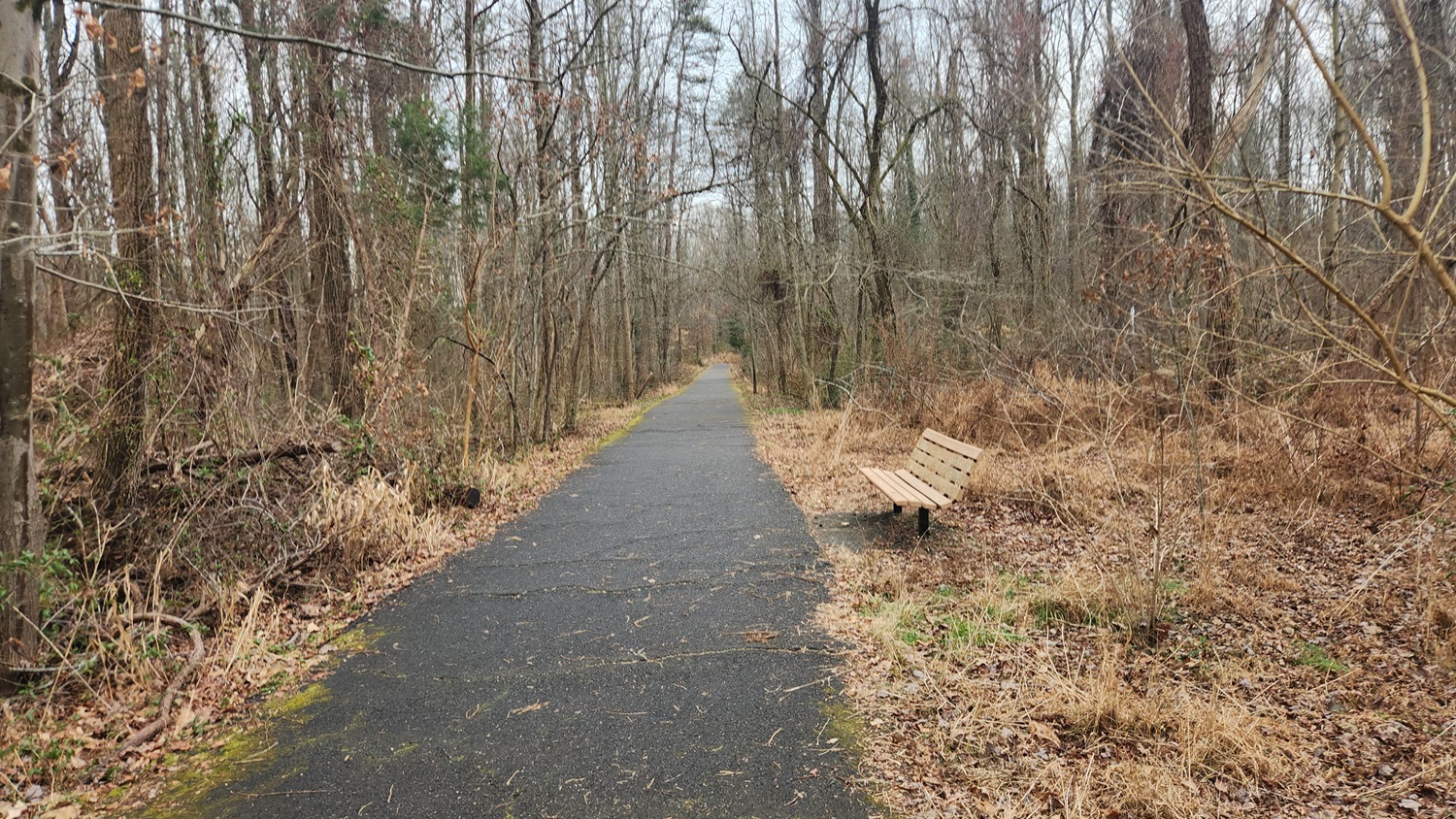 Walking in Alexandria, VA