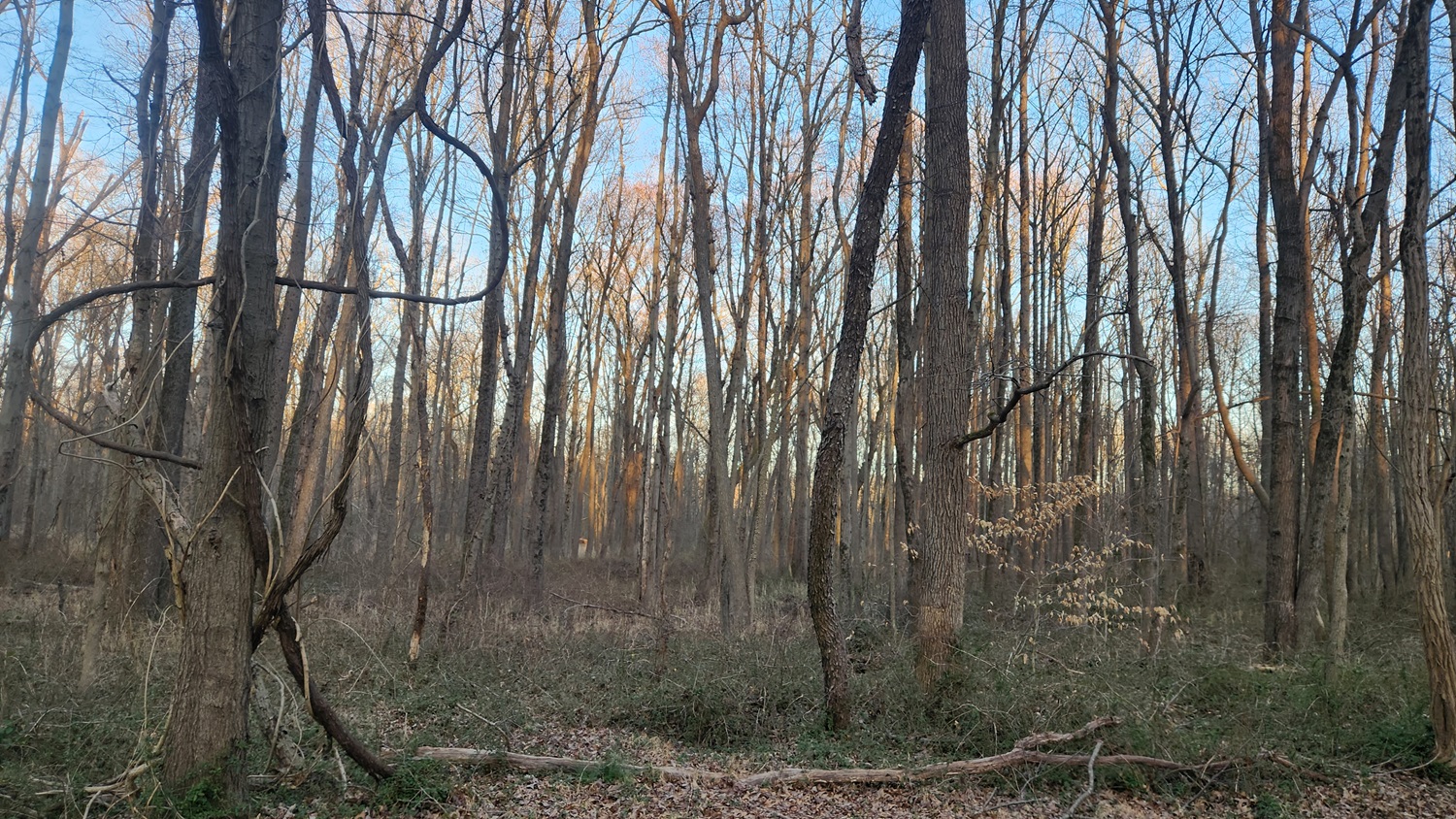 Walking in Alexandria, VA