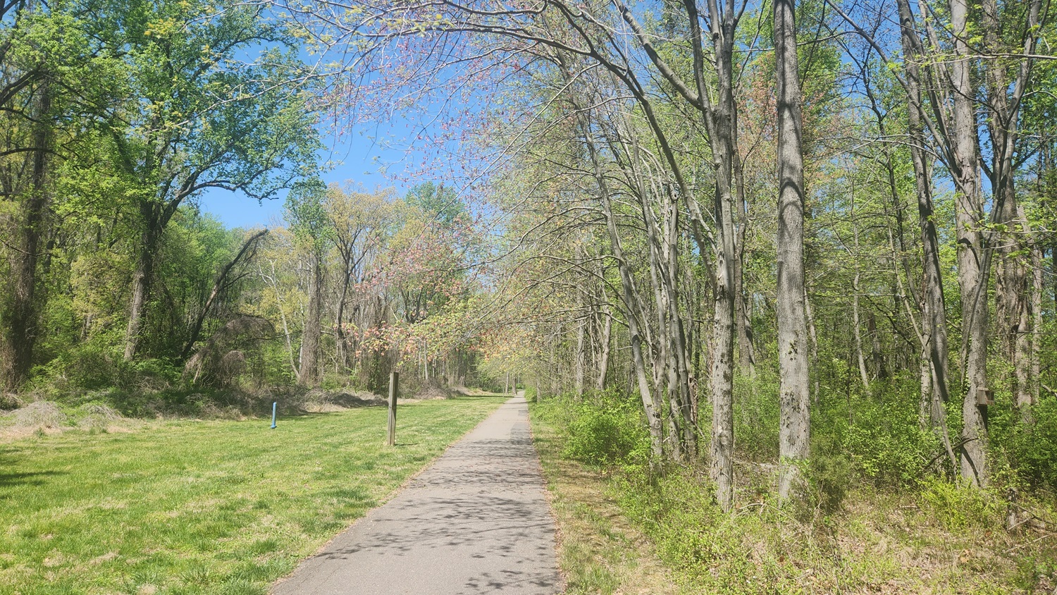 Walking in Alexandria, VA